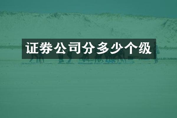 证券公司分多少个级