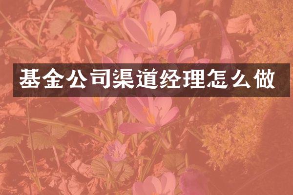 基金公司渠道经理怎么做