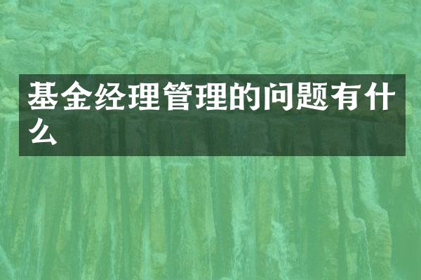 基金经理管理的问题有什么