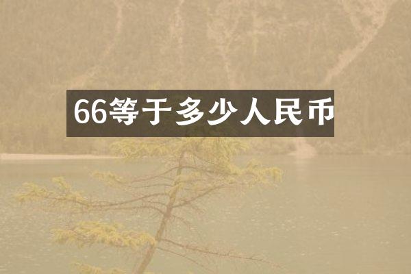 66等于多少人民币