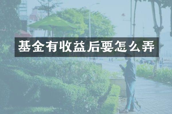 基金有收益后要怎么弄