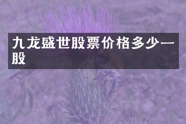 九龙盛世股票价格多少一股