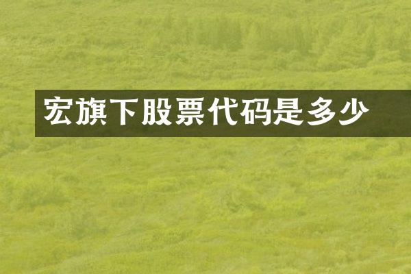宏碁旗下股票代码是多少
