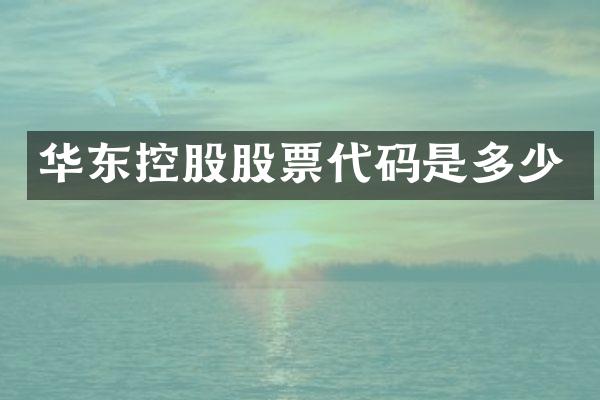 华东控股股票代码是多少