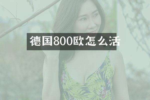 德国800欧怎么活