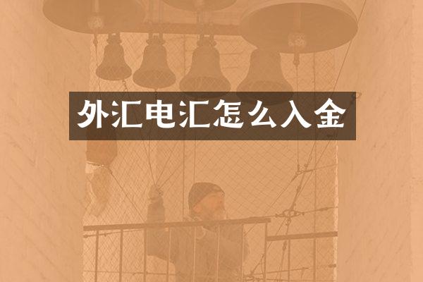 外汇电汇怎么入金
