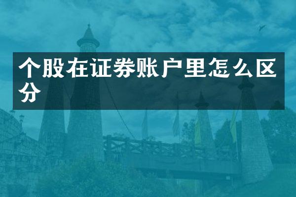个股在证券账户里怎么区分