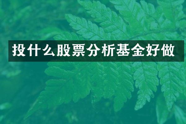 投什么股票分析基金好做