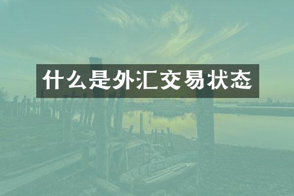 什么是外汇交易状态