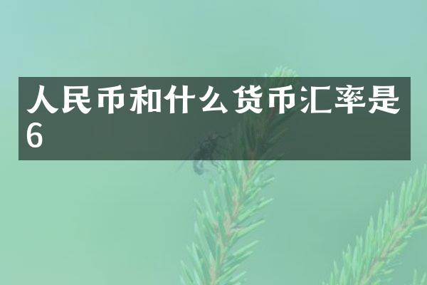 人民币和什么货币汇率是6
