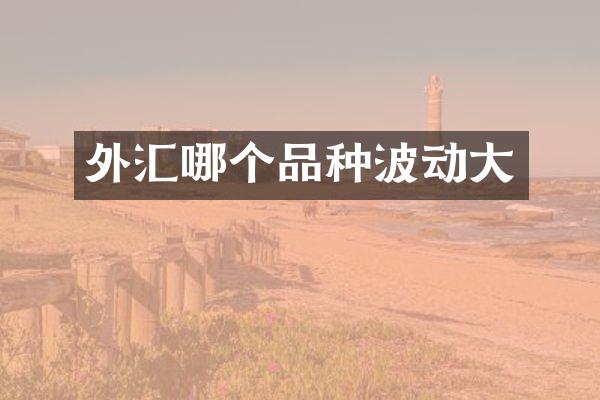 外汇哪个品种波动大