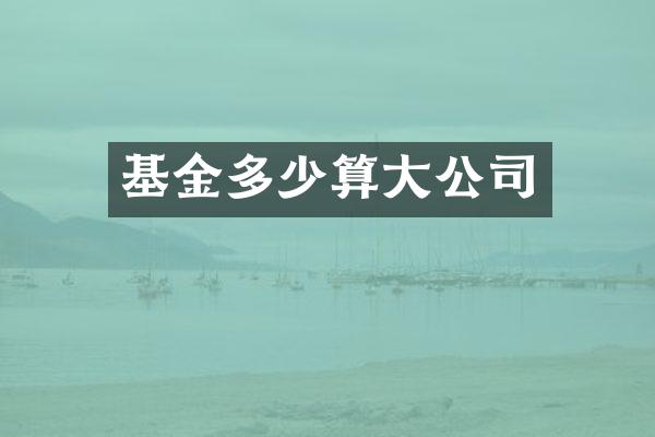 基金多少算大公司