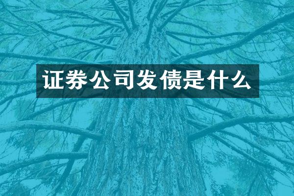 证券公司发债是什么