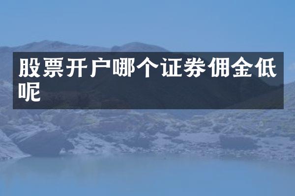 股票开户哪个证券佣金低呢