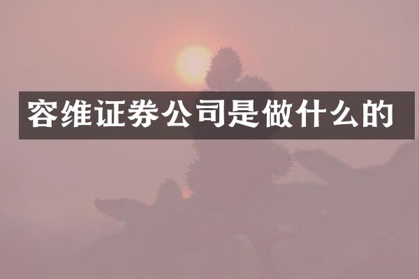 容维证券公司是做什么的