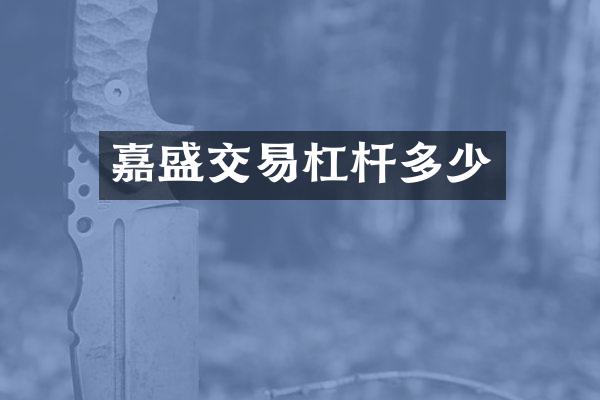嘉盛交易杠杆多少
