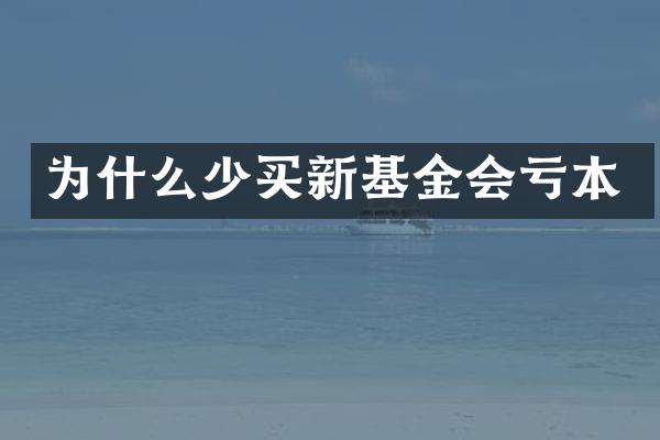 为什么少买新基金会亏本