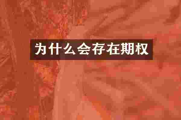 为什么会存在期权
