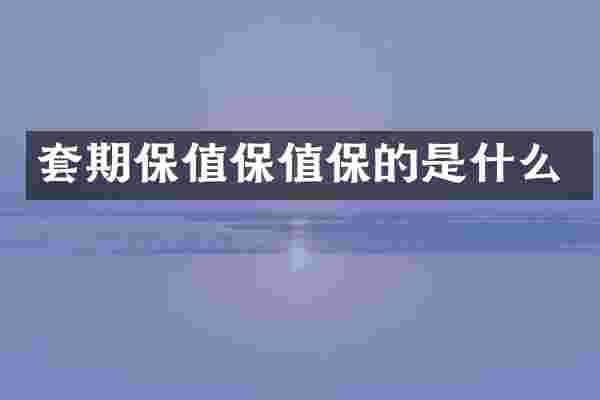 套期保值保值保的是什么