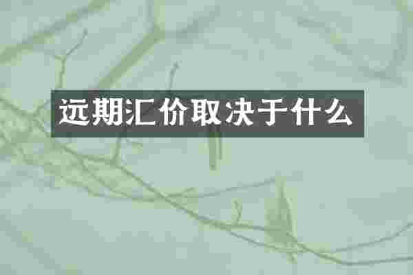 远期汇价取决于什么