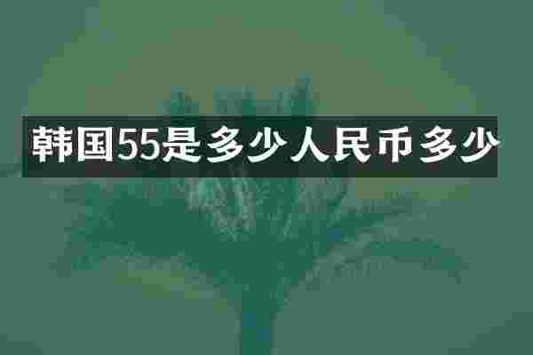 韩国55是多少人民币多少