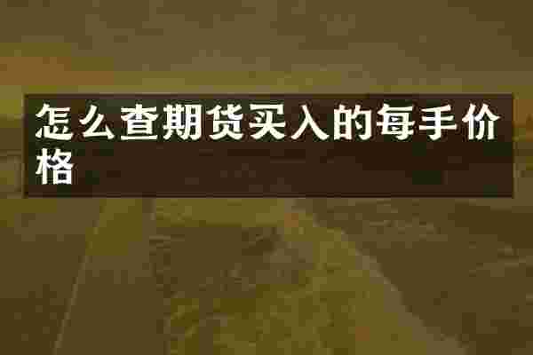 怎么查期货买入的每手价格