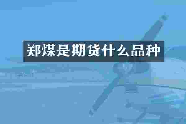郑煤是期货什么品种