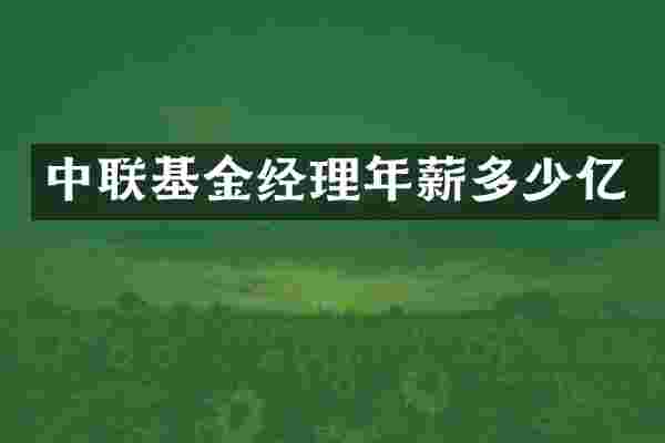 中联基金经理年薪多少亿