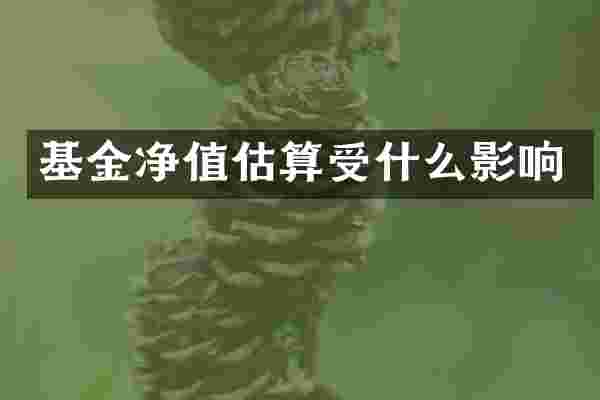 基金净值估算受什么影响
