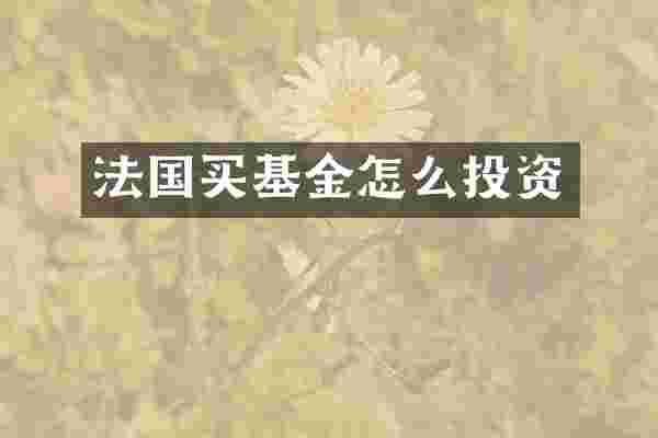 法国买基金怎么投资