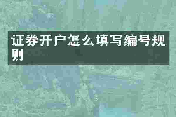 证券开户怎么填写编号规则