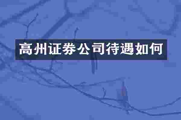 高州证券公司待遇如何