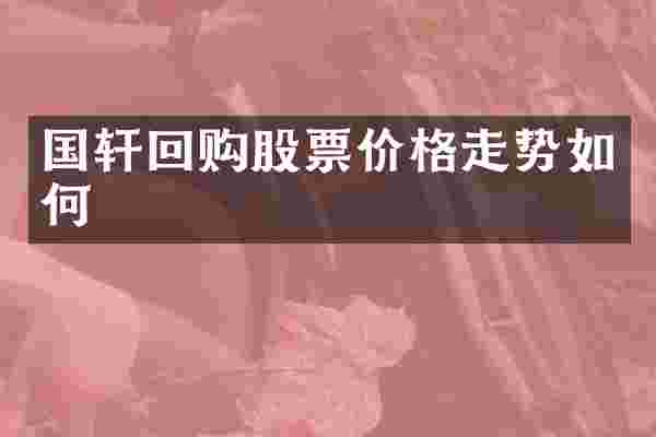 国轩回购股票价格走势如何
