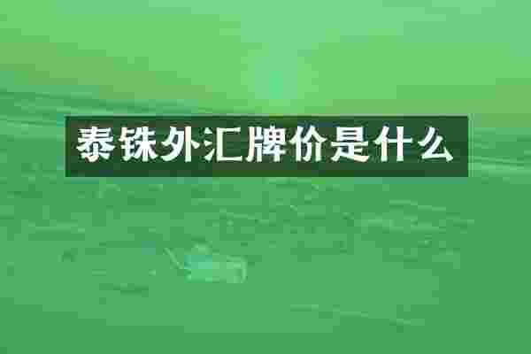 泰铢外汇牌价是什么