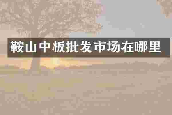 鞍山中板批发市场在哪里