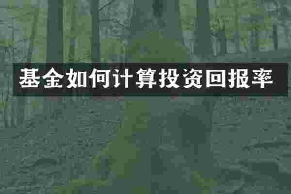 基金如何计算投资回报率