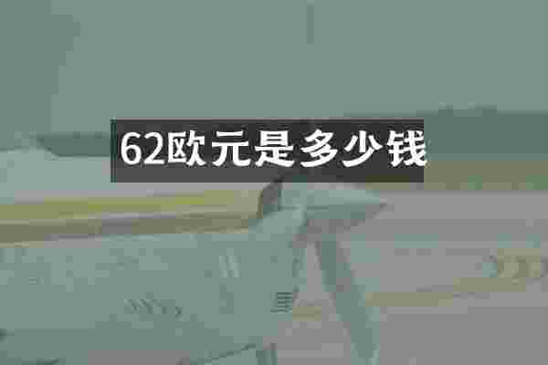 62欧元是多少钱