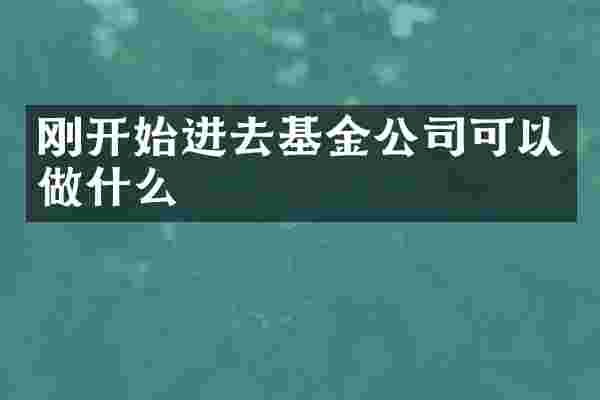 刚开始进去基金公司可以做什么
