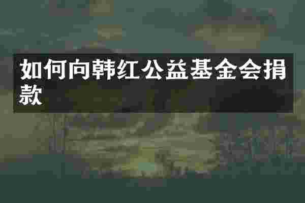 如何向韩红公益基金会捐款