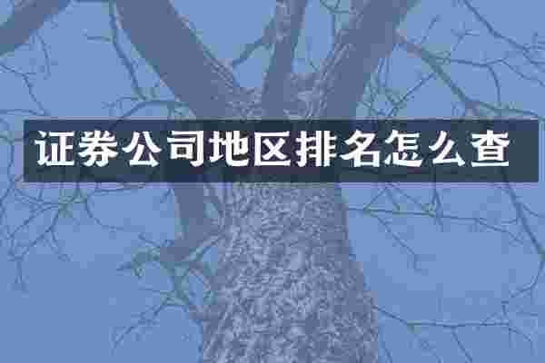 证券公司地区排名怎么查
