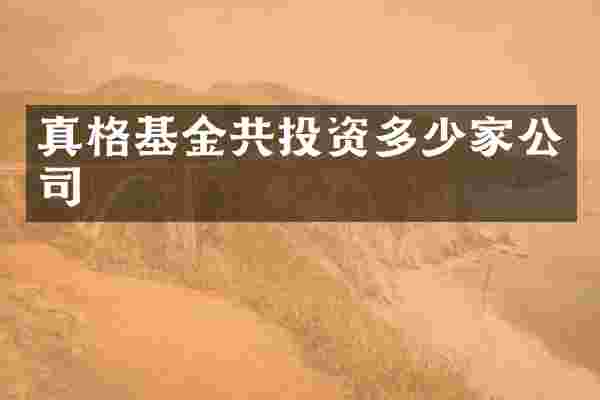 真格基金共投资多少家公司