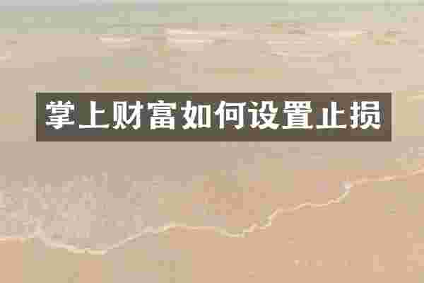 掌上财富如何设置止损