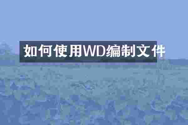 如何使用WD编制文件