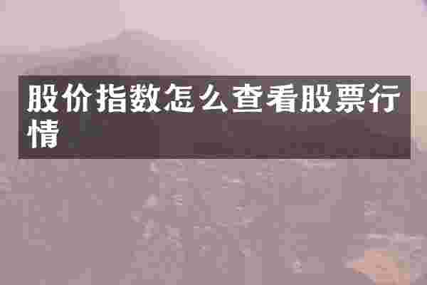 股价指数怎么查看股票行情