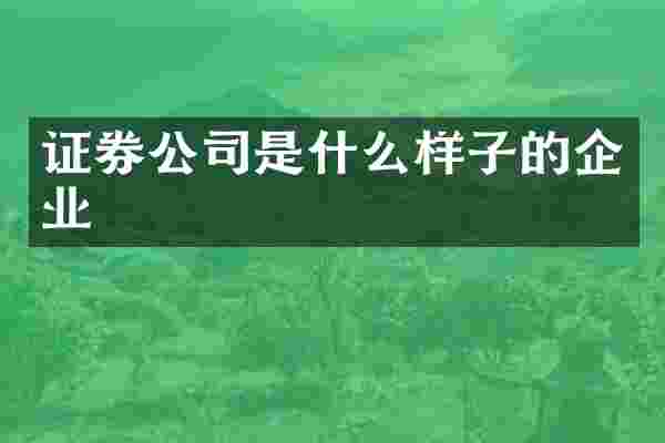 证券公司是什么样子的企业