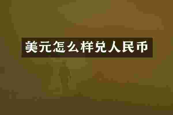 美元怎么样兑人民币