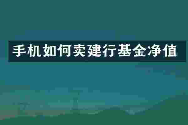 手机如何卖建行基金净值