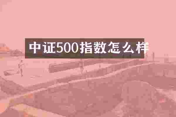 中证500指数怎么样