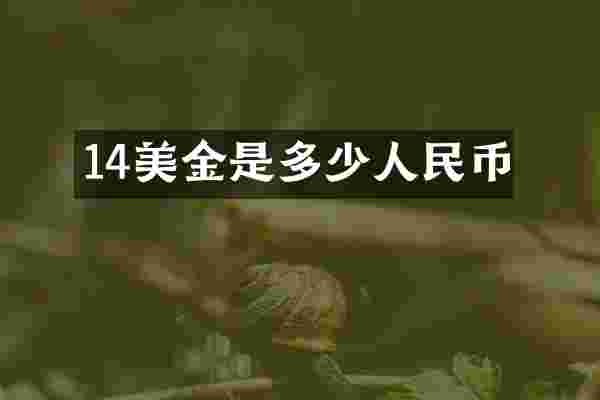 14美金是多少人民币