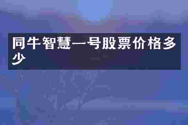 同牛智慧一号股票价格多少